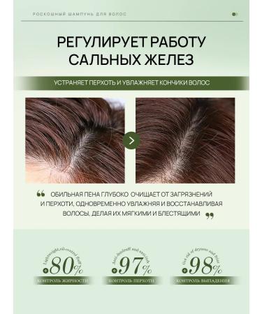 Official representative of SILU Shampoo for oily hair and scalp is Salusulfant - Buy Online on GoSupps.com