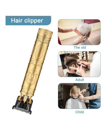 T-BLADE ELECRECTIONAL BLASTER for Men gold - Buy Online on GoSupps.com