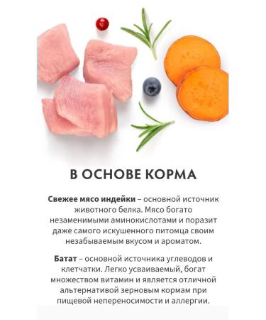 Grandorf fresh For sterilized cats fresh turkey 400g - Buy Online on GoSupps.com