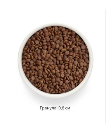 Grandorf fresh For sterilized cats fresh turkey 400g - Buy Online on GoSupps.com