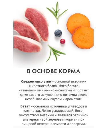 Grandorf fresh For sterilized cats fresh duck 400g - Buy Online on GoSupps.com