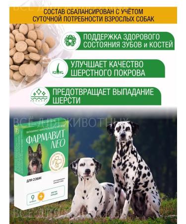 Farmavit NEO Vitamins for dogs for wool and teeth from molting - Buy Online on GoSupps.com