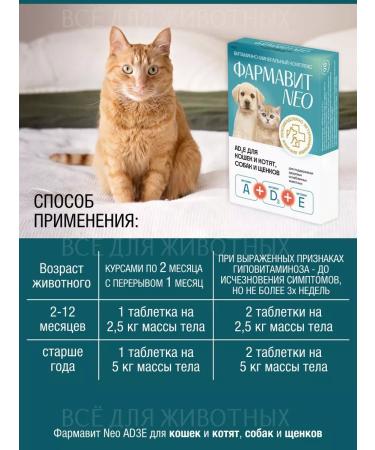 Farmavit NEO Vitamins for dogs and cats for joints of molting immunity - Buy Online on GoSupps.com
