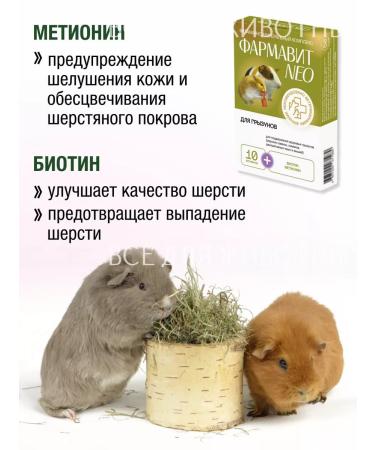 Farmavit Neo Vitamins for rodents for wool and immunity - Buy Online on GoSupps.com
