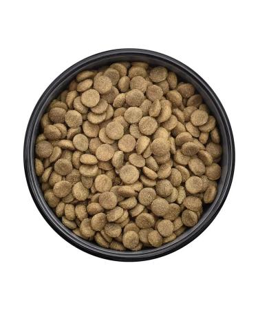 Smart Dog Dry food for adult dogs of large breeds with chicken 0.8 kg - Buy Online on GoSupps.com