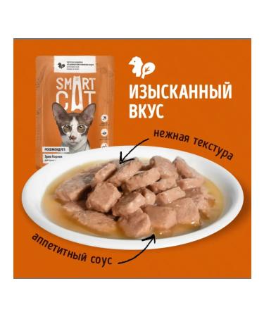 Smart Cat Spiders for cats pieces of turkey with spinach 85 gr - Buy Online on GoSupps.com