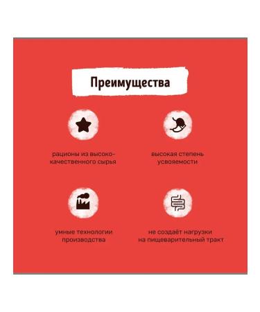 Smart Dog Spider for dogs pieces of beef in sauce 85 g - Buy Online on GoSupps.com