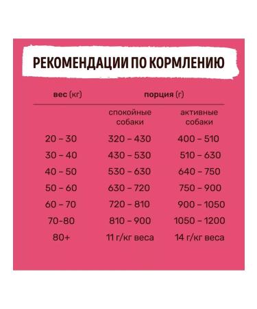 Smart Dog Dry food for adult dogs of large breeds with lamb 0.8 kg - Buy Online on GoSupps.com