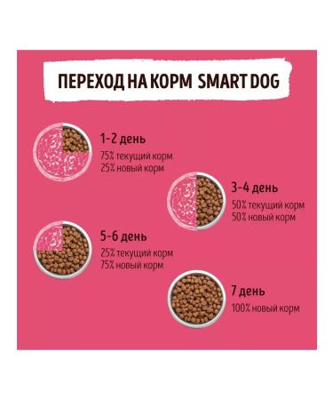 Smart Dog Dry food for adult dogs of large breeds with lamb 0.8 kg - Buy Online on GoSupps.com