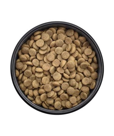 Smart Dog Dry food for adult dogs of large breeds with lamb 0.8 kg - Buy Online on GoSupps.com