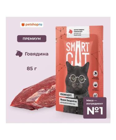 Smart Cat Spiders for cats pieces of goveyadins in sauce 85 gr