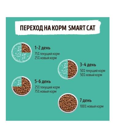 Smart Cat Dry food for sterilized cats with chicken and vegetables 5kg - Buy Online on GoSupps.com