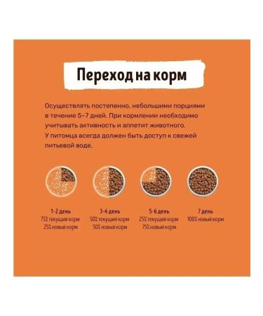 Smart Dog Dry food for adult dogs of large breeds with turkey 3 kg - Buy Online on GoSupps.com