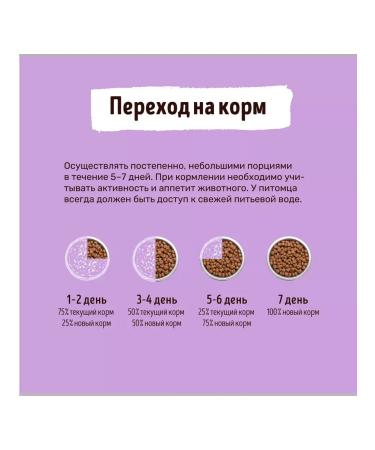 Smart Cat Dry food for sterilized cats rabbit with vegetables 0.4 kg - Buy Online on GoSupps.com