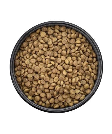 Smart Cat Dry food for kittens with chicken and vegetables 1.4 kg - Buy Online on GoSupps.com