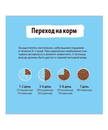 Smart Cat Dry food for sterilized cats with salmon 0.4 kg - Buy Online on GoSupps.com