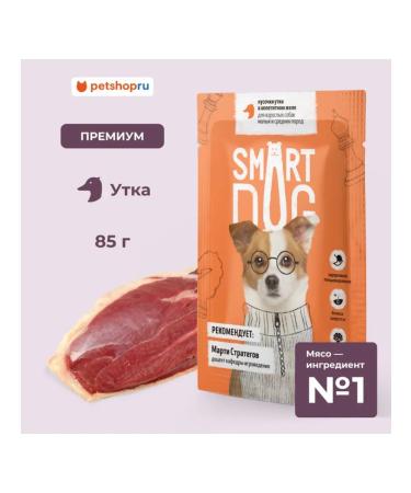 Smart Dog Spider dogs of duck pieces in mouth -watering jelly 85 g