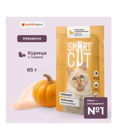 Smart Cat Spiders for cats pieces of chicken with pumpkin 85 gr