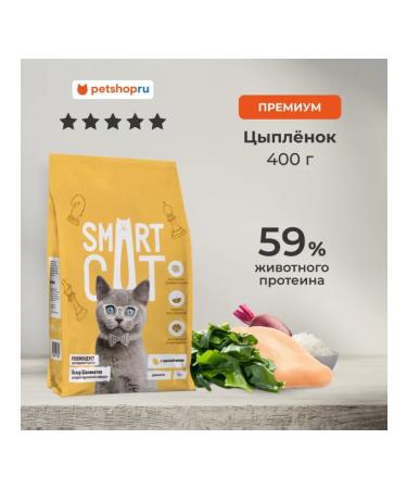 Smart Cat Dry food for kittens with chicken and vegetables 0.4 kg