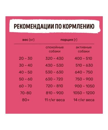 Smart Dog Dry food for adult dogs of large breeds with lamb 3 kg - Buy Online on GoSupps.com