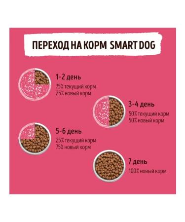 Smart Dog Dry food for adult dogs of large breeds with lamb 3 kg - Buy Online on GoSupps.com