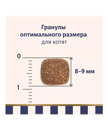 Taormina Dry food for kittens with lamb and vegetables 2.5 kg - Buy Online on GoSupps.com