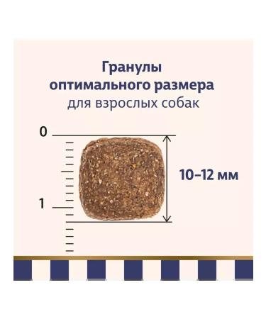 Taormina Dry food for dogs with lamb and vegetables 4 kg - Buy Online on GoSupps.com