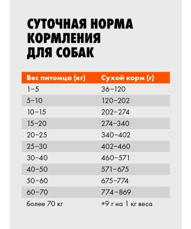 Ultra Dry food with beef for adult dogs of all breeds 0.6 kg - Buy Online on GoSupps.com