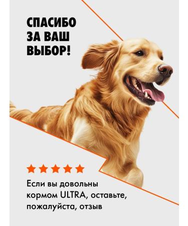 Ultra Dry food with beef for adult dogs of all breeds 0.6 kg - Buy Online on GoSupps.com