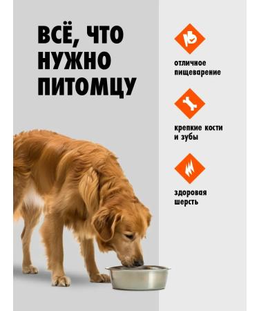 Ultra Dry food with beef for adult dogs of all breeds 0.6 kg - Buy Online on GoSupps.com