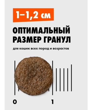 Ultra Dry food with chicken for adult cats 0.6 kg - Buy Online on GoSupps.com