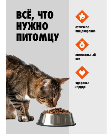 Ultra Dry food with fish for sterilized cats 0.6 kg - Buy Online on GoSupps.com