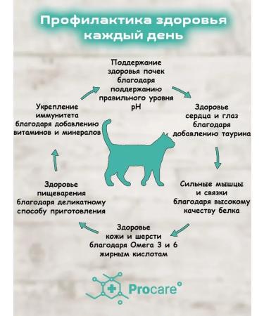 Grandorf Dry food for cats Four meat 400 grams - Buy Online on GoSupps.com