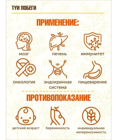 STAROSLAV Thuja western (shoots 50 gr.) - Buy Online on GoSupps.com