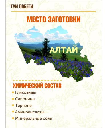 STAROSLAV Thuja western (shoots 50 gr.) - Buy Online on GoSupps.com