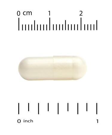 California Gold Nutrition Echinacea extract 80 mg 180 capsules - Buy Online on GoSupps.com