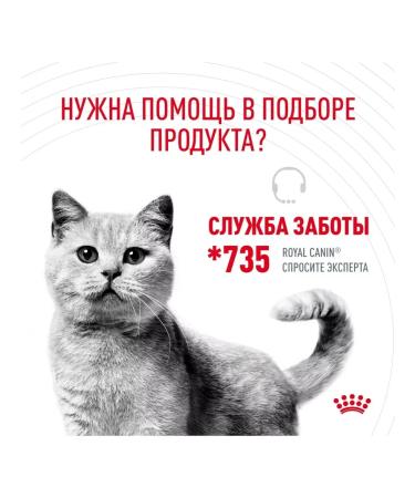 Royal Canin Dry feed Urinary Care for cats prevention of ICD 2kg - Buy Online on GoSupps.com