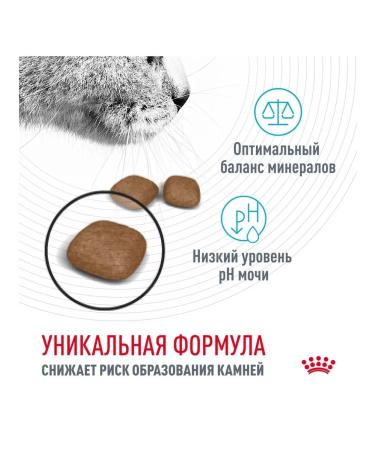 Royal Canin Dry feed Urinary Care for cats prevention of ICD 2kg - Buy Online on GoSupps.com