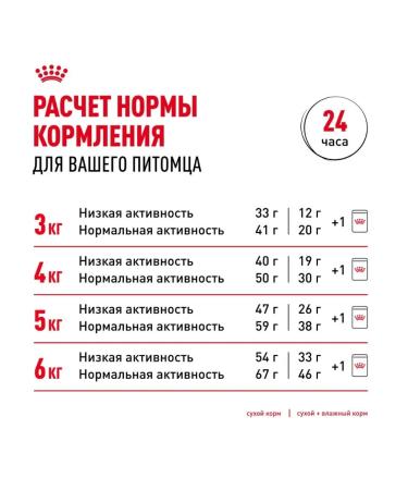 Royal Canin Hair & skin food for cats for the health of the skin sample 2kg - Buy Online on GoSupps.com