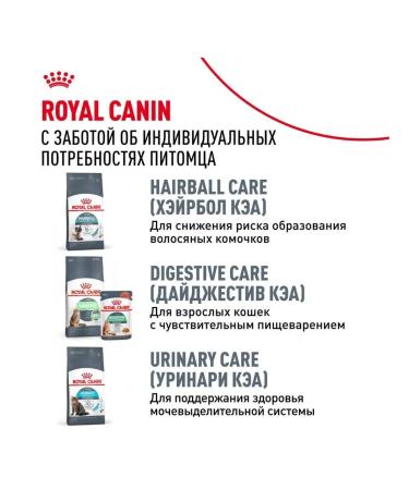 Royal Canin Hair & skin food for cats for the health of the skin sample 2kg - Buy Online on GoSupps.com