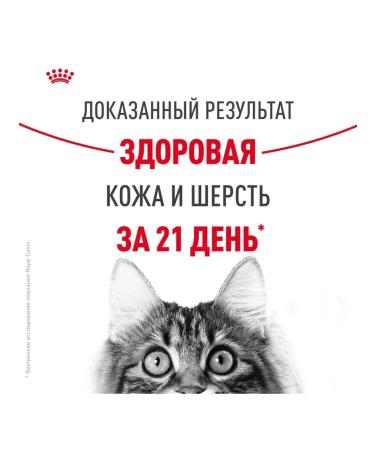 Royal Canin Hair & skin food for cats for the health of the skin sample 2kg - Buy Online on GoSupps.com