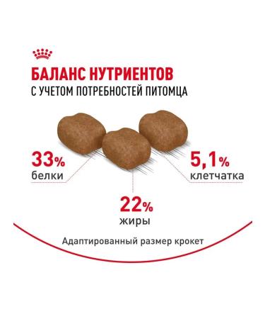 Royal Canin Hair & skin food for cats for the health of the skin sample 2kg - Buy Online on GoSupps.com