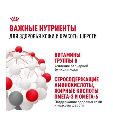 Royal Canin Hair & skin food for cats for the health of the skin sample 2kg - Buy Online on GoSupps.com