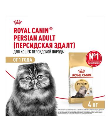 Royal Canin Dry Persian Adult for Persian cats 4 kg - Buy Online on GoSupps.com