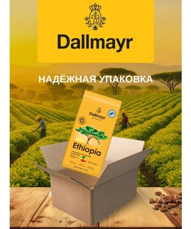 dallmayr Coffee in the grains of Dalmar Ethiopia 100% Arabica 500g - Buy Online on GoSupps.com