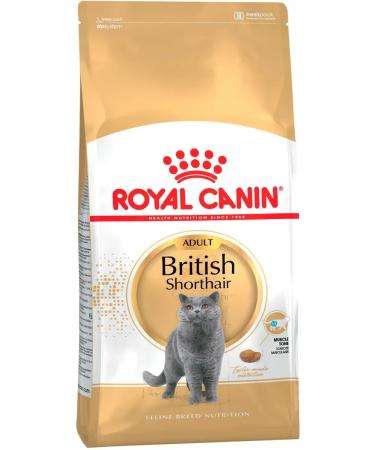Royal Canin Cat for cats dry British shorthair for British 2 kg - Buy Online on GoSupps.com