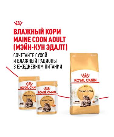 Royal Canin Cat food dry Maine Coon 2 kg - Buy Online on GoSupps.com