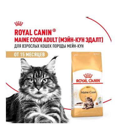 Royal Canin Cat food dry Maine Coon 2 kg - Buy Online on GoSupps.com