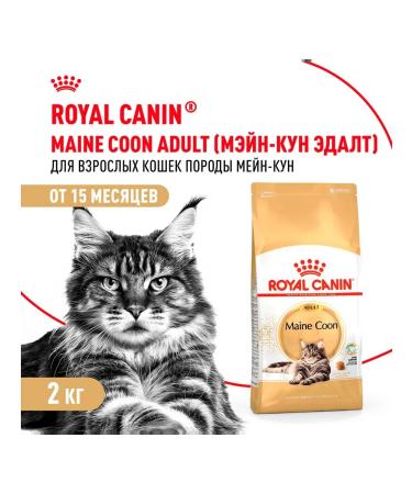 Royal Canin Cat food dry Maine Coon 2 kg - Buy Online on GoSupps.com