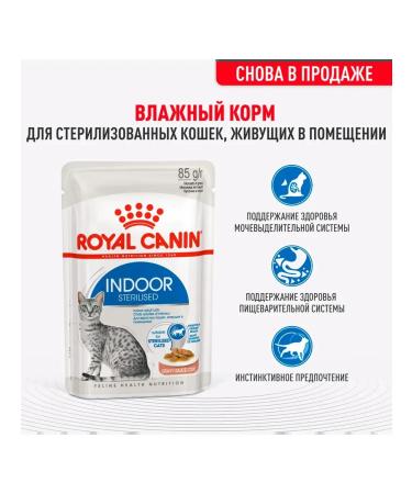 ROYAL CANIN Wet feed indoor sterilized for cats sauce 85 g 12 pcs - Buy Online on GoSupps.com